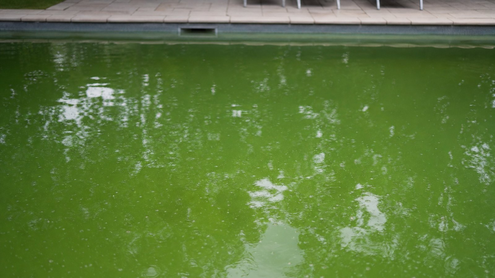 Diagnostic d'une eau de piscine verte à rattraper